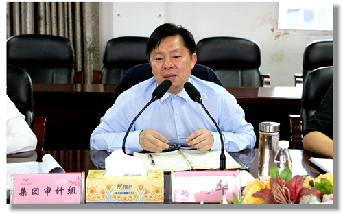 集團(tuán)黨委委員、紀(jì)委書記彭向華強(qiáng)調(diào)審計(jì)整改工作要深挖思想根源(圖2)