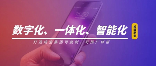線上辦公零接觸！松滋肥業(yè)信息化在戰(zhàn)“疫”之中顯身手(圖1)