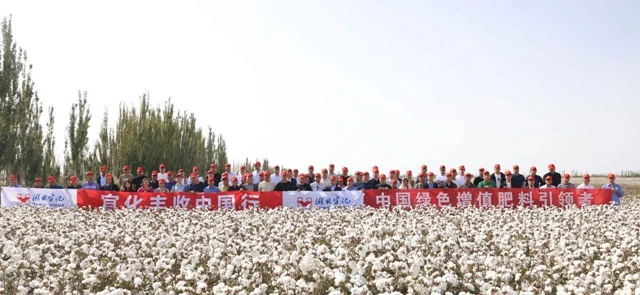 宜化豐收中國行！新疆棉花大型測產(chǎn)觀摩會成功舉行