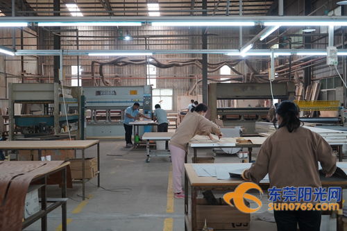 厚街家具廠暖心之舉 為湖北籍員工發放千元補貼，傳遞家居行業溫暖